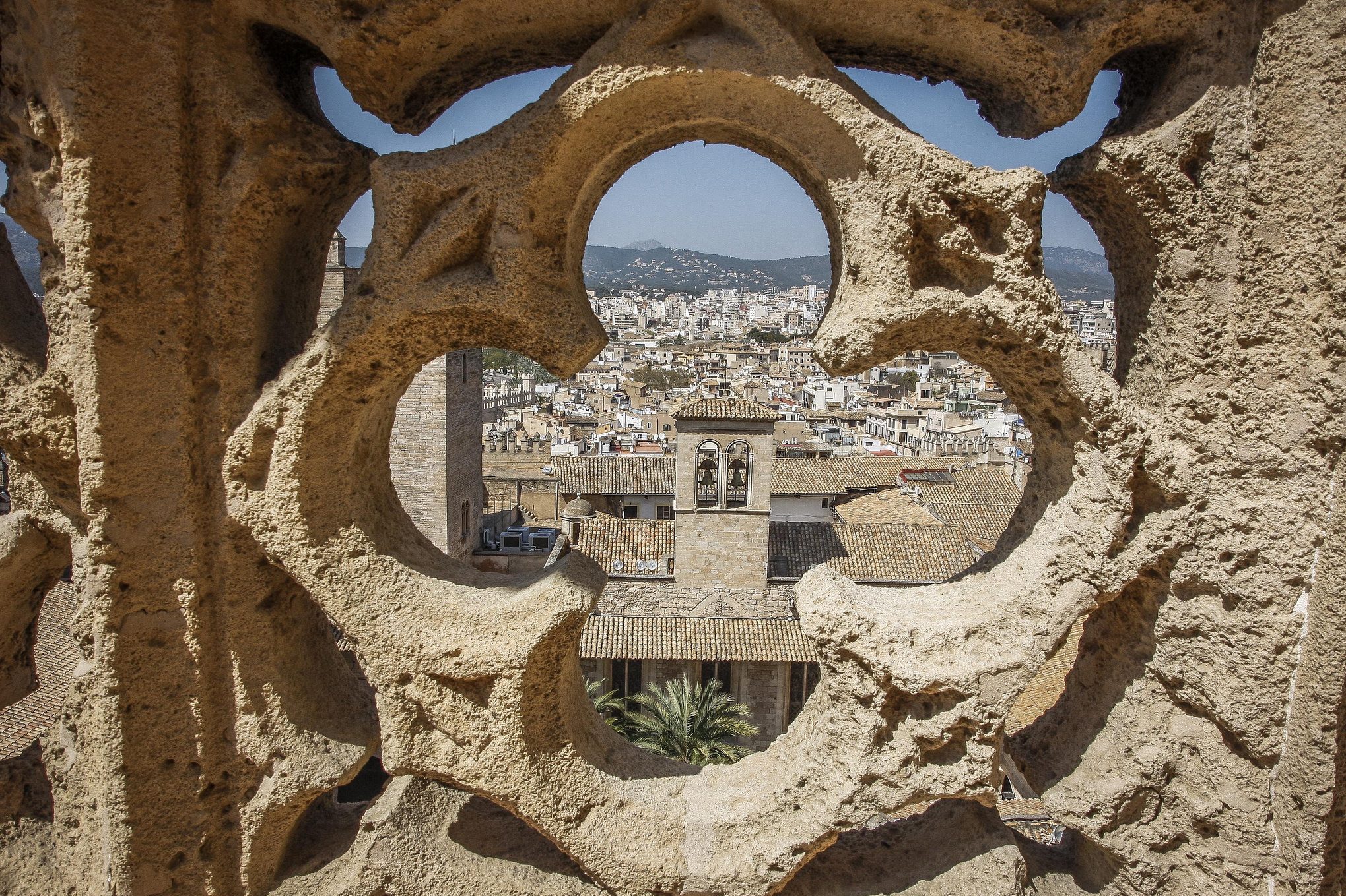 DEGRADACION DE LOS MUROS DE LA CATEDRAL DE PALMA.