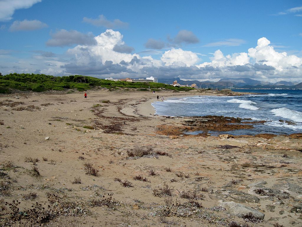 Hundestrände auf Mallorca: Hier ist Gassigehen am Meer erlaubt