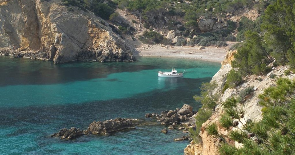 calablanca