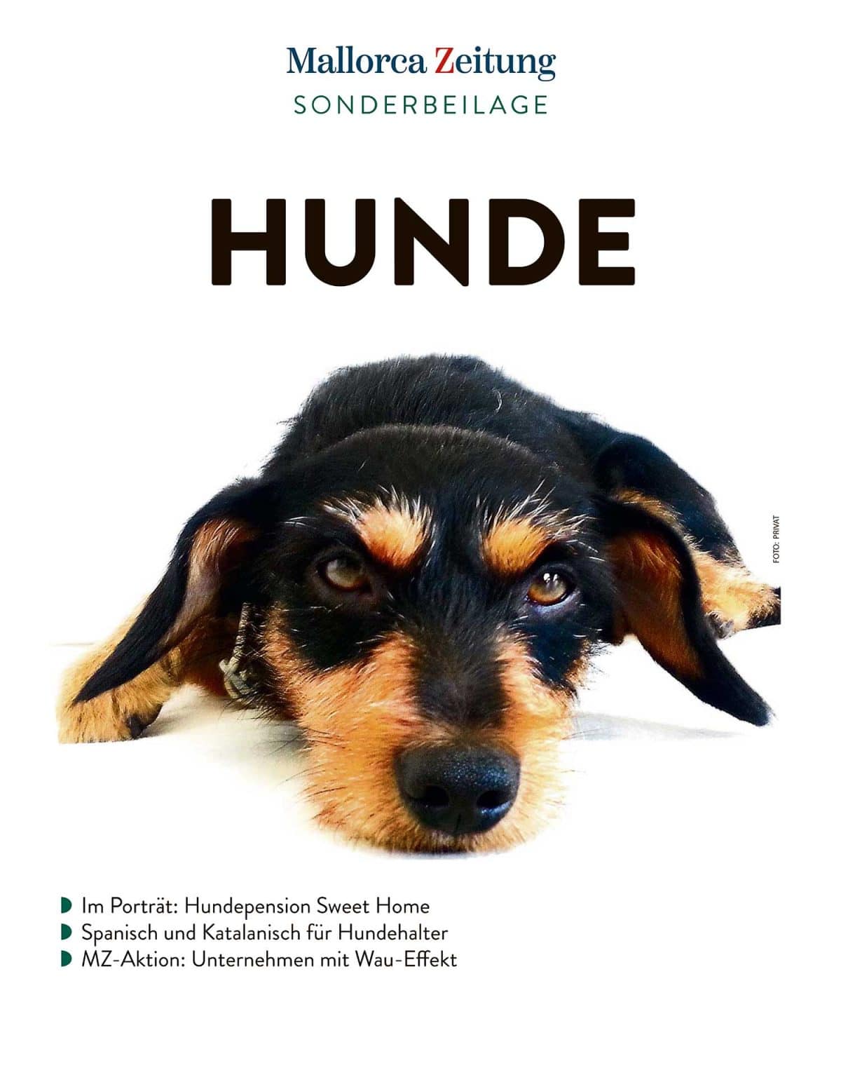 Hunde Mallorca 2020