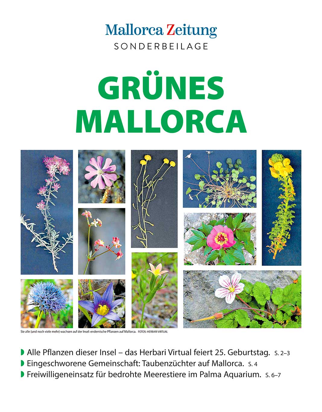 Grunes Mallorca